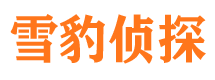 琅琊侦探公司